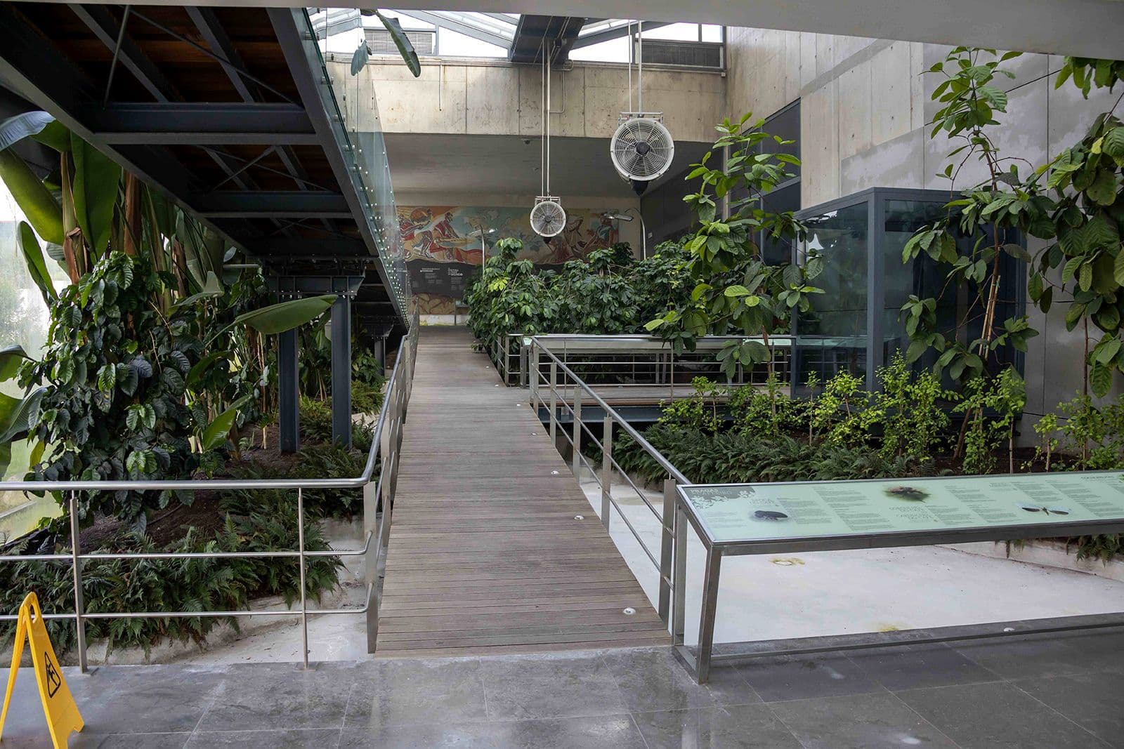 Greenhouse